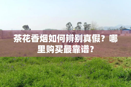 茶花香烟如何辨别真假？哪里购买最靠谱？